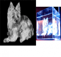 SIMIL 3D 180° CORPO INTERO CANE/GATTO